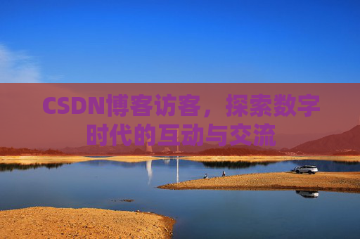 CSDN博客访客，探索数字时代的互动与交流